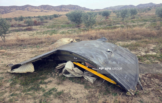 Turkish President calls on citizens to be vigilant against disinformation regarding plane crash