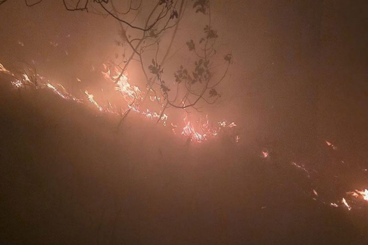 Lightning strikes forest in Türkiye, starts fire