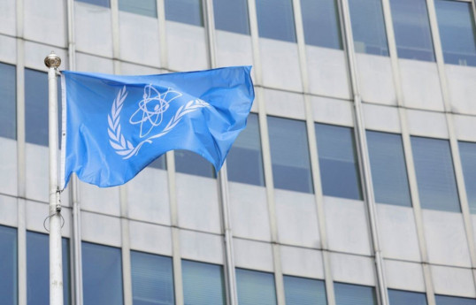 IAEA chief, Rosatom CEO discuss situation at ZNPP