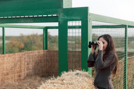 Leyla Aliyeva joins environmental campaign in Mingachevir