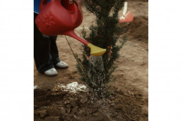 Leyla Aliyeva joins environmental campaign in Mingachevir