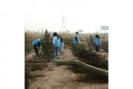 Leyla Aliyeva joins environmental campaign in Mingachevir