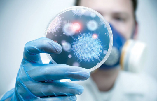 Health Ministry expert says seasonal rise in acute respiratory viral infections in Azerbaijan is normal, not alarming