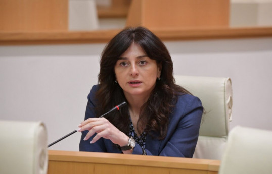 Chair of the Georgian Parliament’s Committee on Environmental Protection and Natural Resources, Maia Bitadze