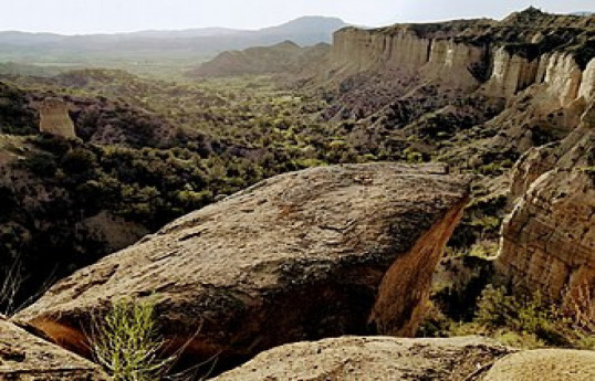Azerbaijan determines legal status of two more national parks