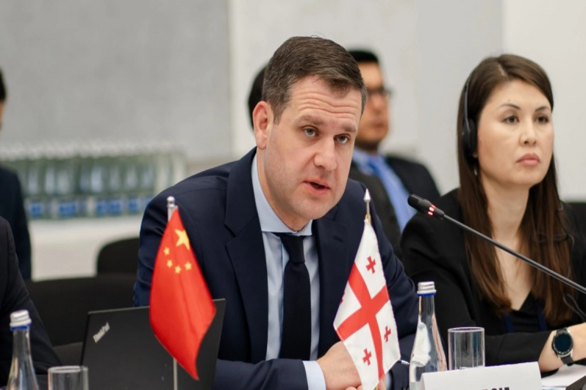 Georgia’s Deputy Minister of Economy and Sustainable Development Genadi Arveladze