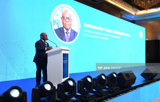 Secretary-General of the D-8 Organization for Economic Cooperation, Isiaka Abdulqadir Imam
