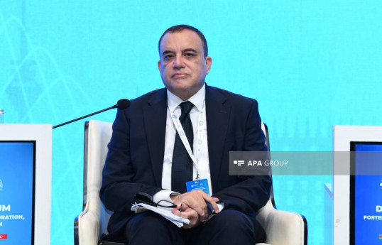 Ezzat Ibrahim, editor of Egypt’s Al-Ahram Weekly & Al-Ahram Online portals