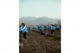 Leyla Aliyeva, Arzu Aliyeva, and Alena Aliyeva participate in ecological actions in Lankaran