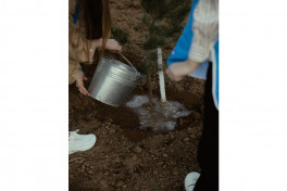 Leyla Aliyeva, Arzu Aliyeva, and Alena Aliyeva participate in ecological actions in Lankaran