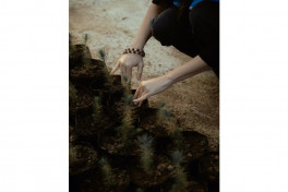 Leyla Aliyeva, Arzu Aliyeva, and Alena Aliyeva participate in ecological actions in Lankaran