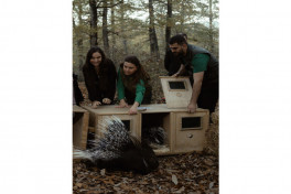 Leyla Aliyeva, Arzu Aliyeva, and Alena Aliyeva participate in ecological actions in Lankaran