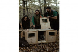 Leyla Aliyeva, Arzu Aliyeva, and Alena Aliyeva participate in ecological actions in Lankaran