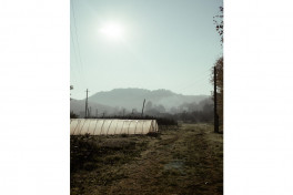 Leyla Aliyeva, Arzu Aliyeva, and Alena Aliyeva participate in ecological actions in Lankaran