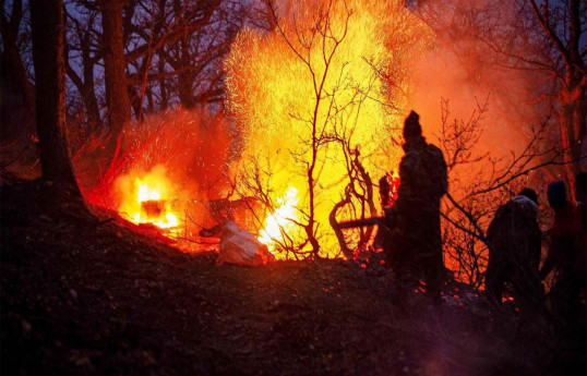 Iran battles fire in UNESCO-listed forest, gets Türkiye’s help