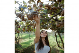 Leyla Aliyeva, Arzu Aliyeva, and Alena Aliyeva visit farming enterprise in Lankaran-PHOTO 