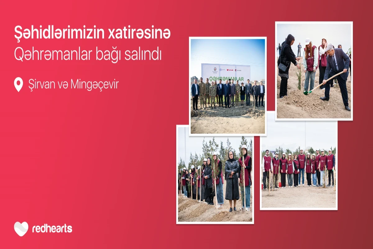 “Garden of Heroes” project: 543 trees planted in memory of martyrs