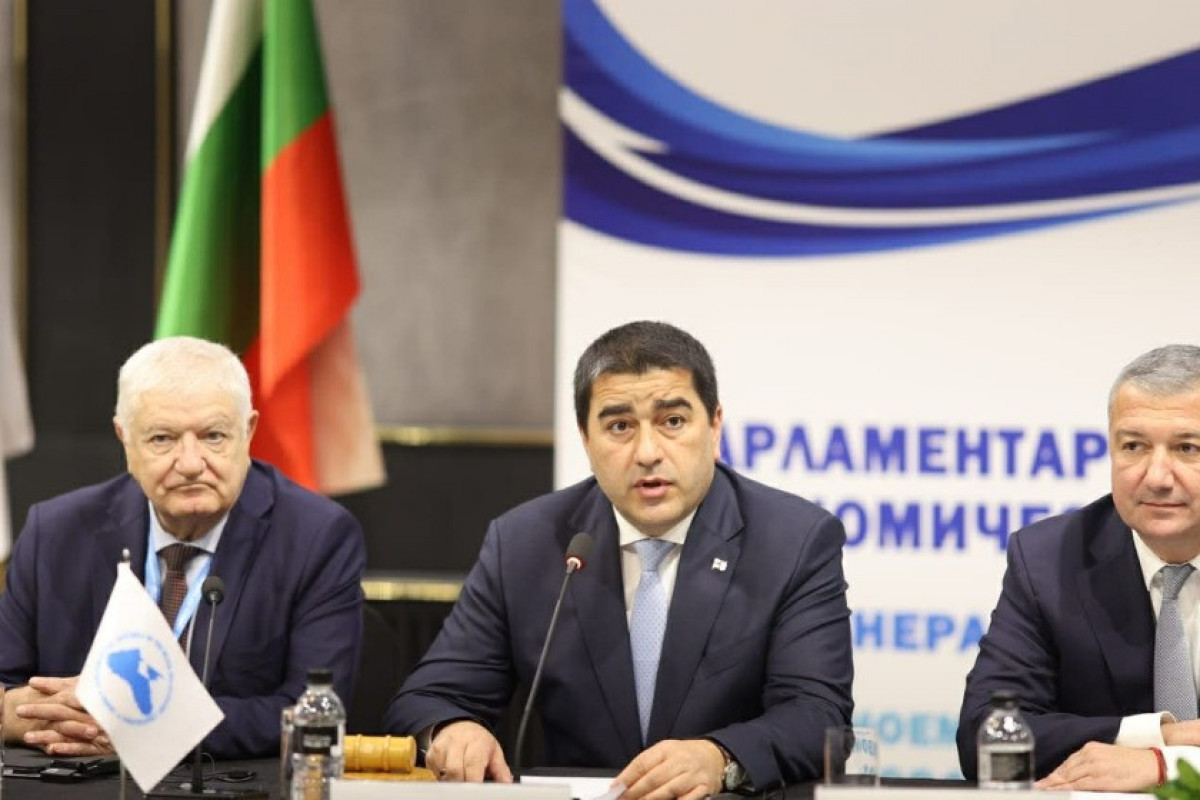 Speaker of the Georgian Parliament Shalva Papuashvili