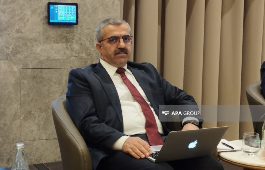 Turkish expert and SETA program director Muhittin Ataman
