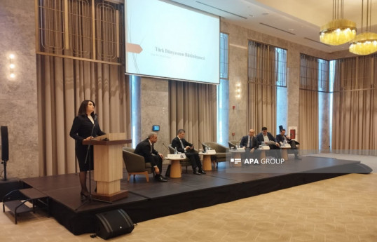 Institute Director: Azerbaijan-Türkiye military cooperation is rising to a strategic level