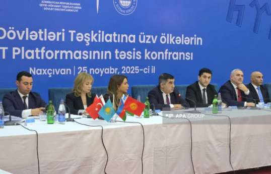 Azerbaijan to chair newly formed NGO Platform of Turkic States