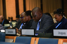 Azerbaijani attends 3rd session of UN-Habitat Executive Board