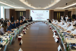Meetings of Azerbaijan-Qatar Joint Commission and Business Council held in Doha -VIDEO 