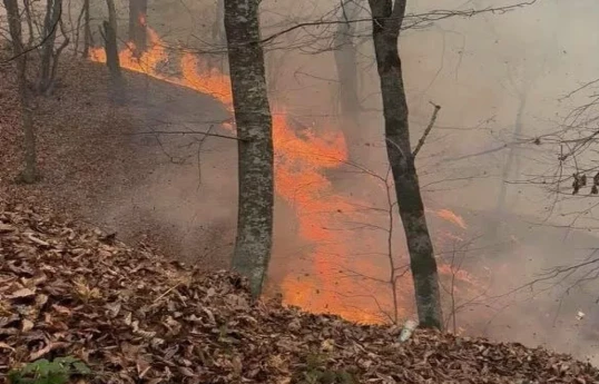 Armenia says wildfires are under control, no foreign assistance planned -VIDEO -UPDATED 