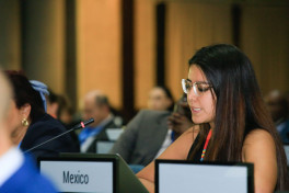 UN-Habitat Executive Board session concludes with Azerbaijan’s participation -PHOTO 
