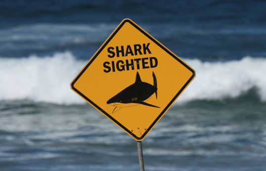 One dead, one injured following shark attack in Australia