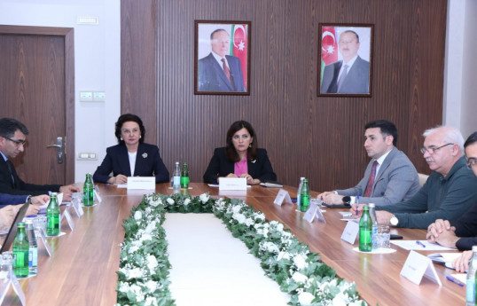51 newly discovered monuments in Azerbaijan have been registered by state