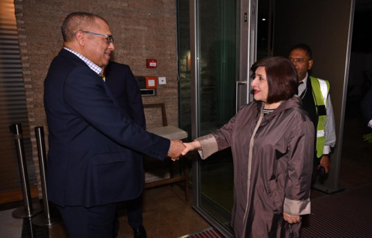 Speaker of Azerbaijani Parliament pays working visit to South Africa