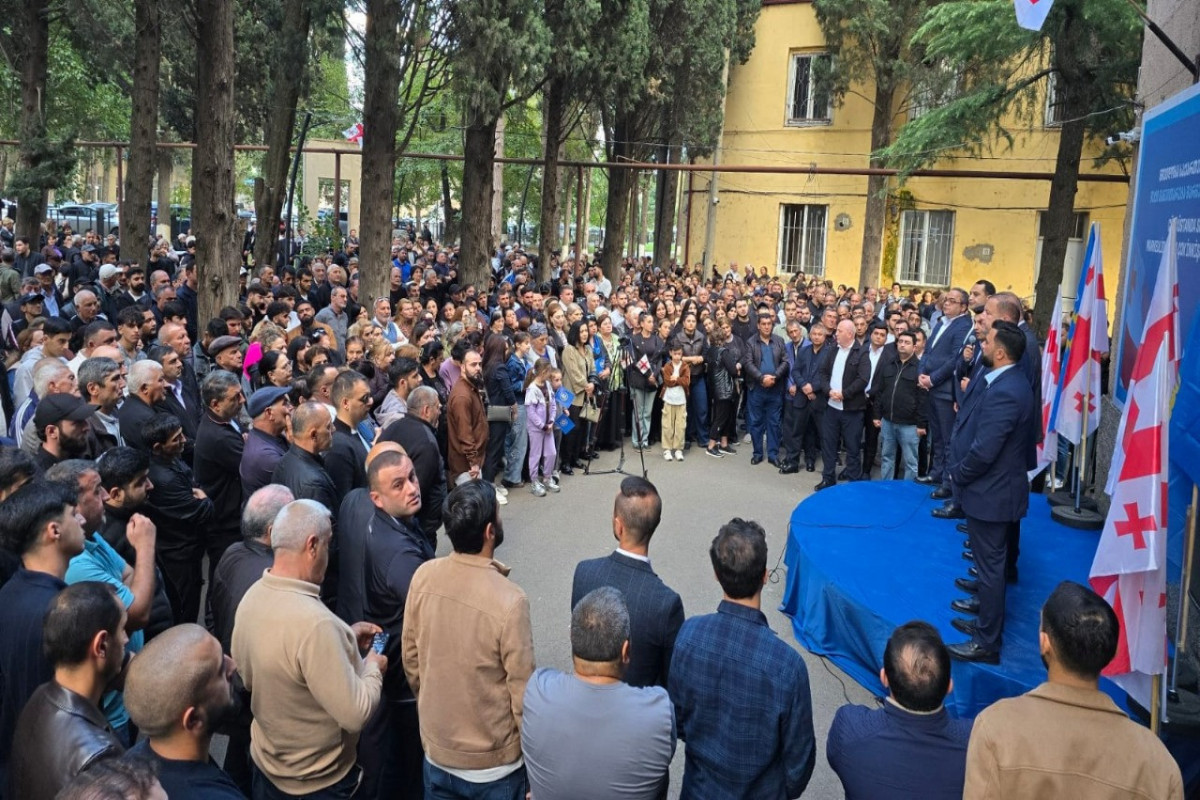 Georgia elections: How many Azerbaijanis are running for Mayor and Municipal seats? -ANALYSIS 