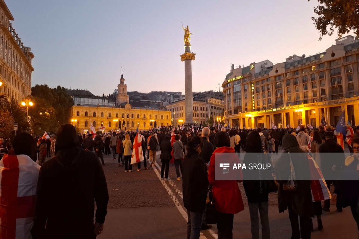 Protesters brake gates of Atoneli presidential palace-UPDATED -PHOTO 