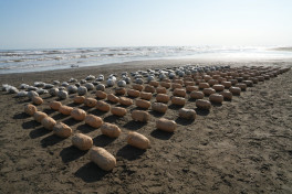 510 kg of drugs were prevented from being smuggled from Iran to Azerbaijan via Caspian Sea
