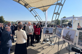 City Day celebrated in Jabrayil-PHOTO 