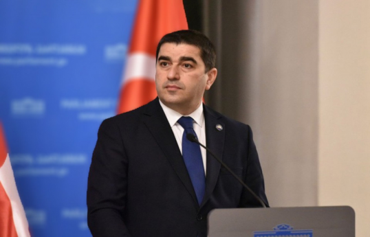 speaker of the Parliament of Georgia, Shalva Papuashvili