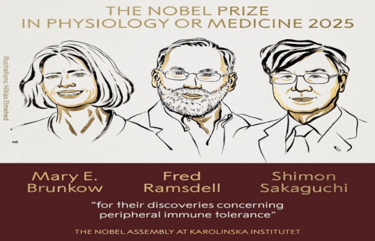 Brunkow, Ramsdell and Sakaguchi win 2025 Nobel medicine prize