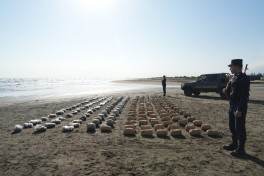 Azerbaijan detained 22 foreigners last month for illegally crossing the border