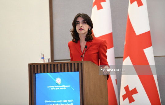 Georgian FM: There is no reason for EU to suspend visa-free regime with Georgia