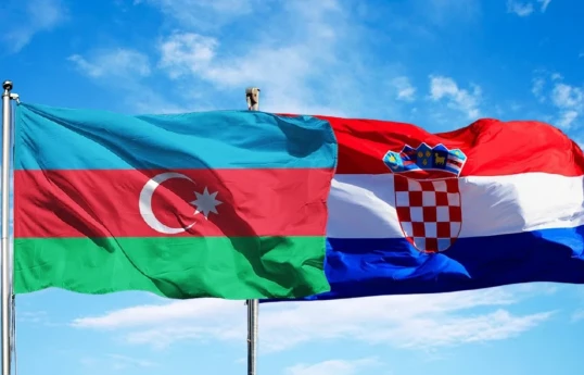 Azerbaijani Parliament Speaker: Energy sector occupies an important place in cooperation with Croatia