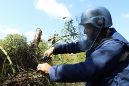 Controlled fragmentation MON-50 booby trap mine was discovered in Khojavand-PHOTO 