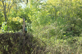 Controlled fragmentation MON-50 booby trap mine was discovered in Khojavand-PHOTO 
