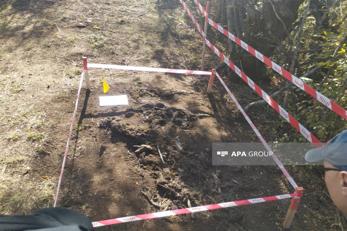 Participants of international conference on missing persons visited mass grave in Aghdara -PHOTO -VIDEO -UPDATED-1 