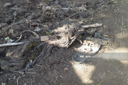 Participants of international conference on missing persons visited mass grave in Aghdara -PHOTO -VIDEO -UPDATED-1 