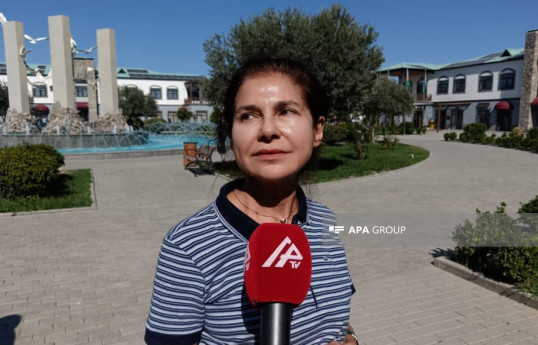 Afarin Shahidzade, international expert on human rights and humanitarian law
