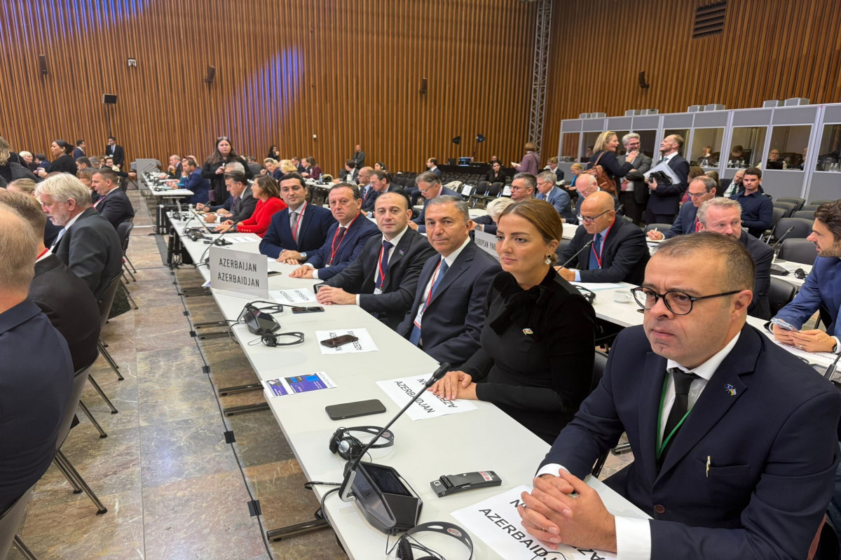Azerbaijani delegation participates in 71st annual session of NATO PA