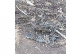 Ombudsman representatives investigated mass grave discovered in Aghdara on-site