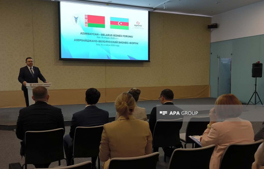 Dmitry Pinevich, the Ambassador of the Republic of Belarus to Azerbaijan