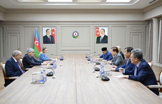 Azerbaijan’s Deputy PM meets with ICAPP delegation